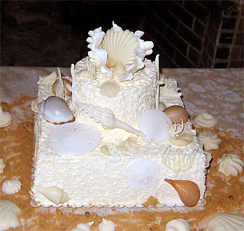 two layer beach themed wedding cake with real seashells